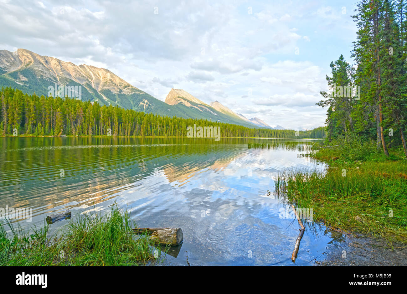 Reflexionen auf Hochzeitsreise See in Jasper National Park Stockfoto