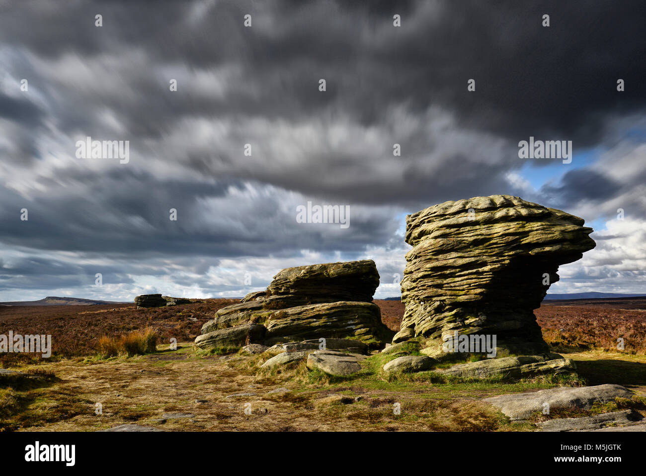 Wächter auf einem windgepeitschten Moor Stockfoto