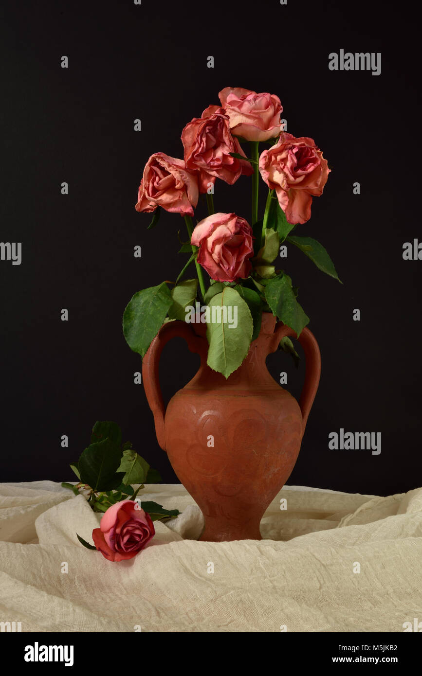 Fünf sterben rosa Rosen in einer Vase Terrakotta vor einem schwarzen Hintergrund, mit einer einzelnen Rose auf musselin Tuch. Stockfoto