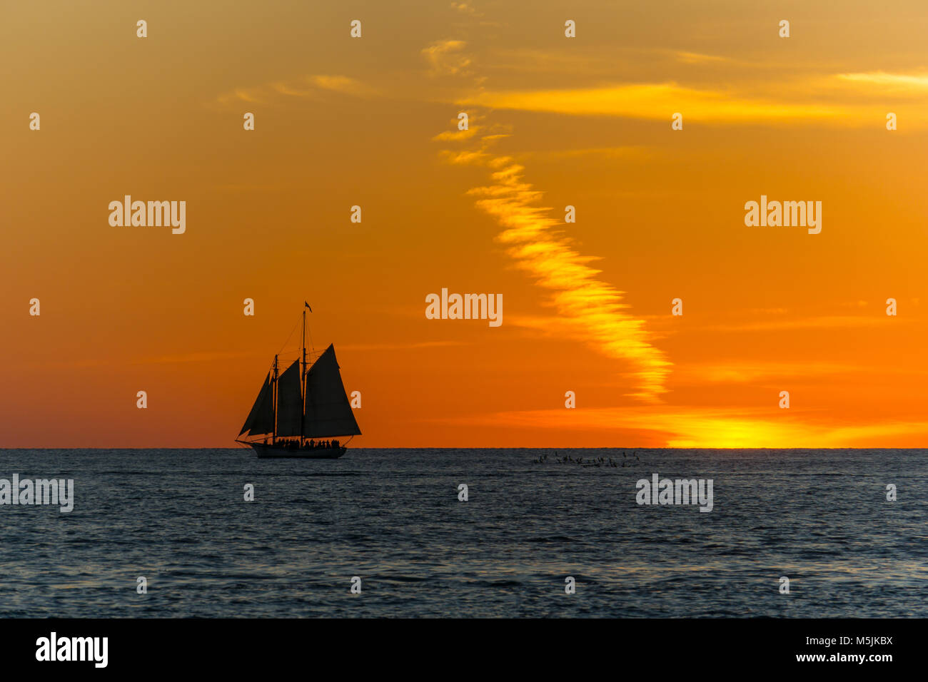 USA, Florida, Segelschiff und orange lackiert Sonnenuntergang Himmel mit Schwarm Vögel Stockfoto