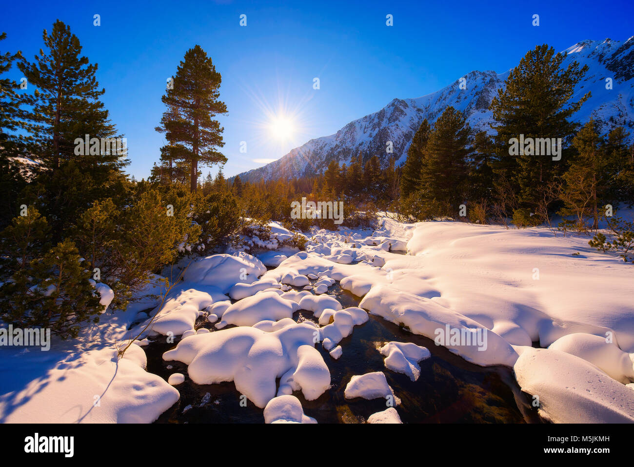 Snowy iced Bach im Wald Stockfoto
