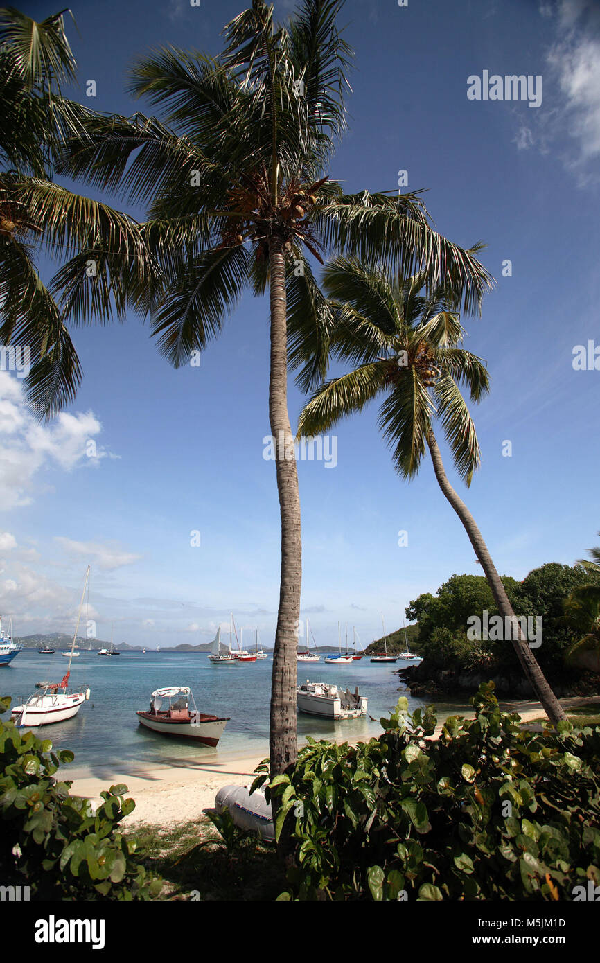 Die malerische Stadt von Cruz Bay ist das Zentrum der Aktivität auf der Insel St. John in den U.S. Virgin Islands. Stockfoto