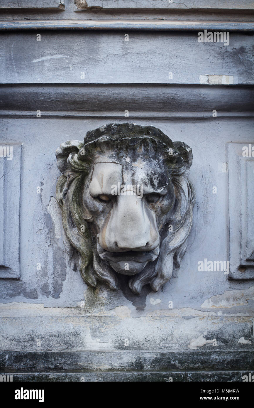 Vorderansicht Nahaufnahme des Lion's Head Skulptur in Stein auf der Außenseite eines historischen Gebäudes geschnitzt Stockfoto