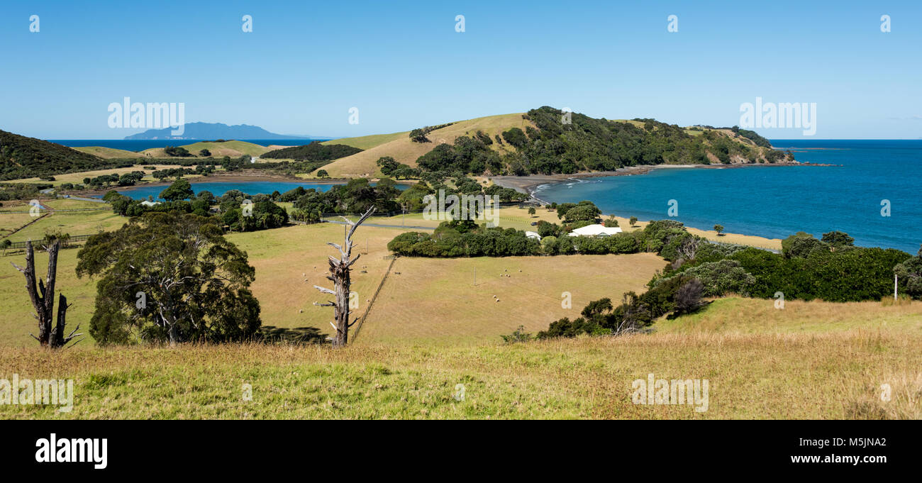 Whangarei malerische Aussicht, North Island, Neuseeland Stockfoto