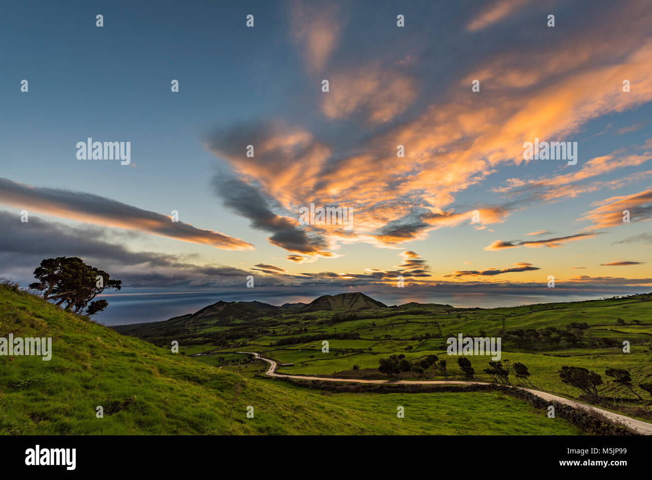 Straße durch grüne Wiesen, hügelige Landschaft bei Sonnenaufgang mit Wolken, Insel Pico, Azoren, Portugal Stockfoto