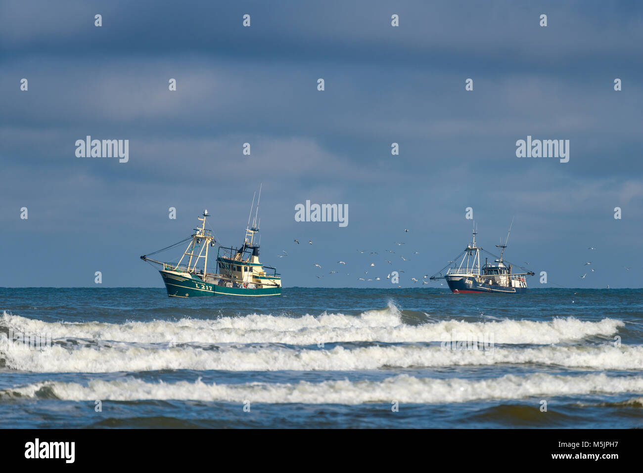 Garnelen cutter Abschleppen die Netze vor der Küste, Henne Mølle, Region Syddanmark, Dänemark Stockfoto