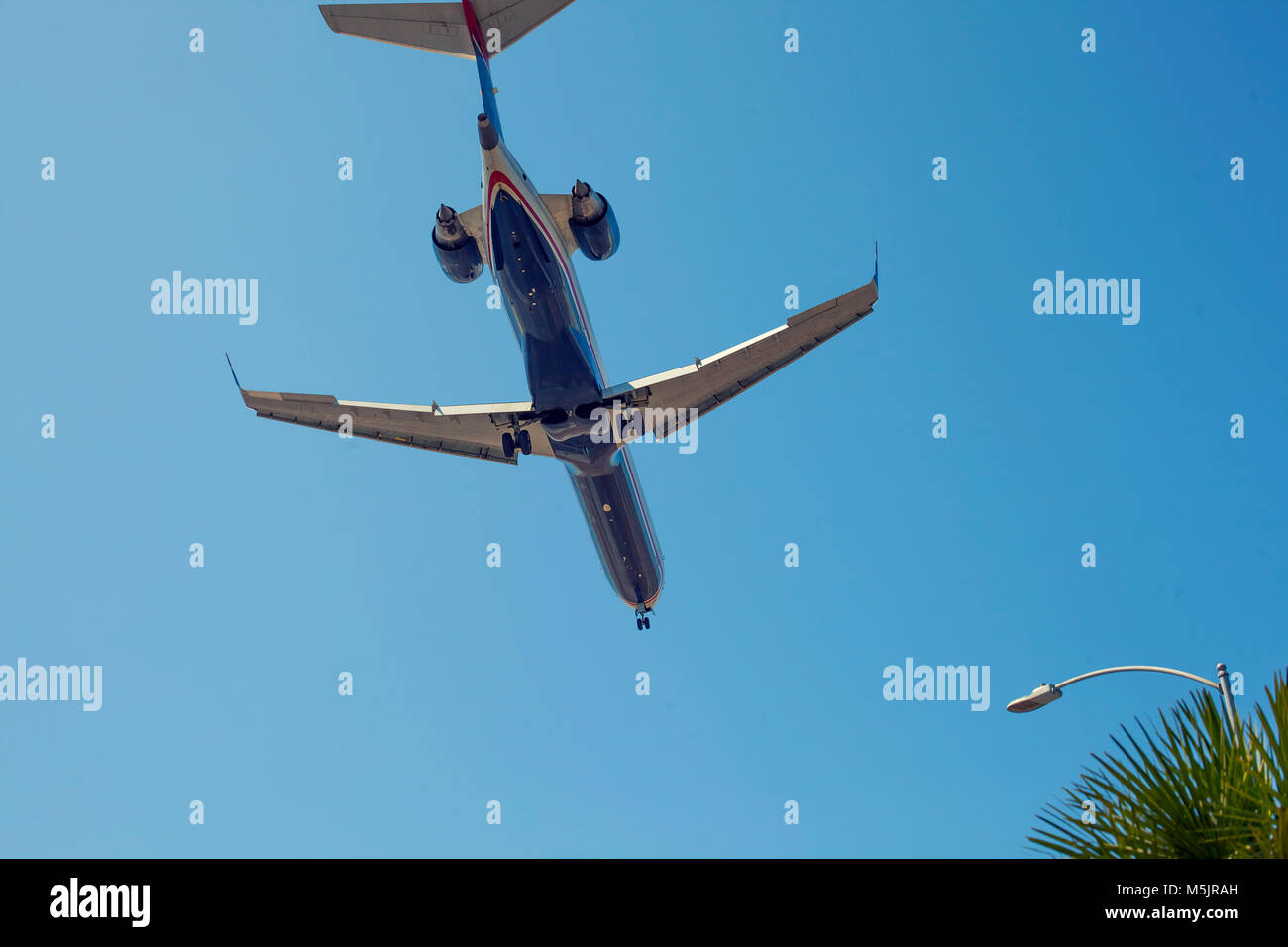 Flugzeug auf dem Himmel mit Palmen umgeben Stockfoto