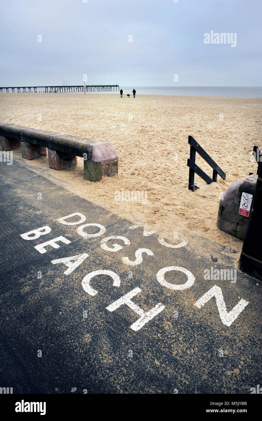 Hundebesitzer das Gesetz hinwegsetzt, Lowestoft, Suffolk UK Stockfoto