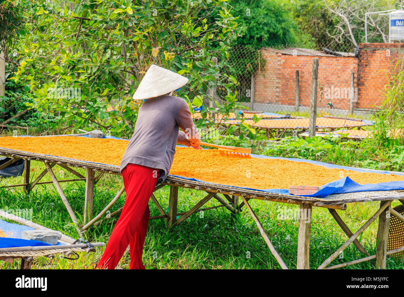 Verarbeitung Đà Ninh Garnelen Salz (muoi Tom) der vietnamesischen Küche. Tay Ninh ist berühmt für Großhandel Garnelen Salz in Vietnam. Stockfoto