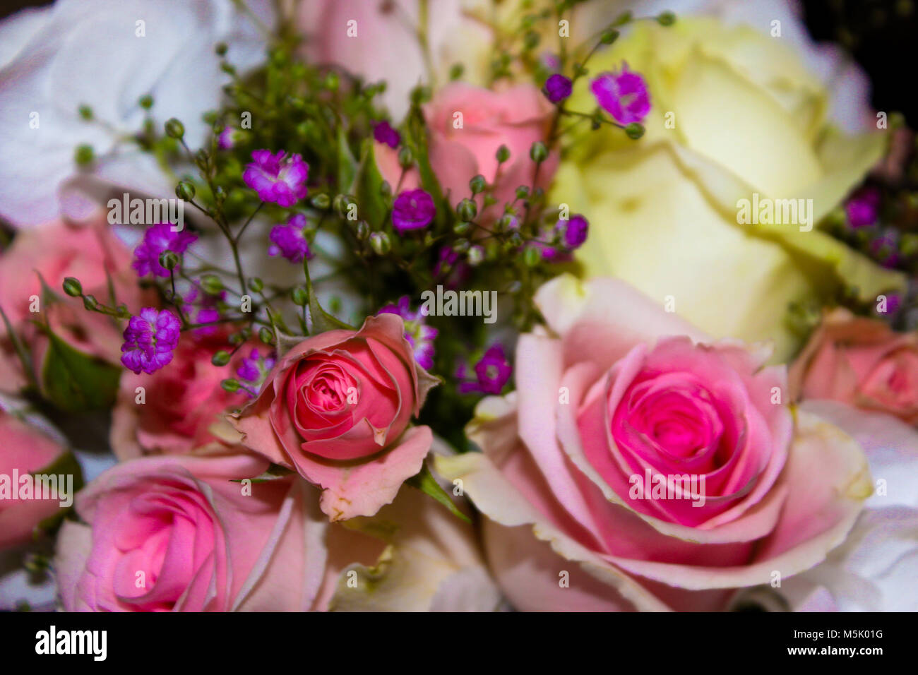 Wunderschöne Rosen, weissen Veilchen und Lila gypsophila Blumenstrauß  Stockfotografie - Alamy