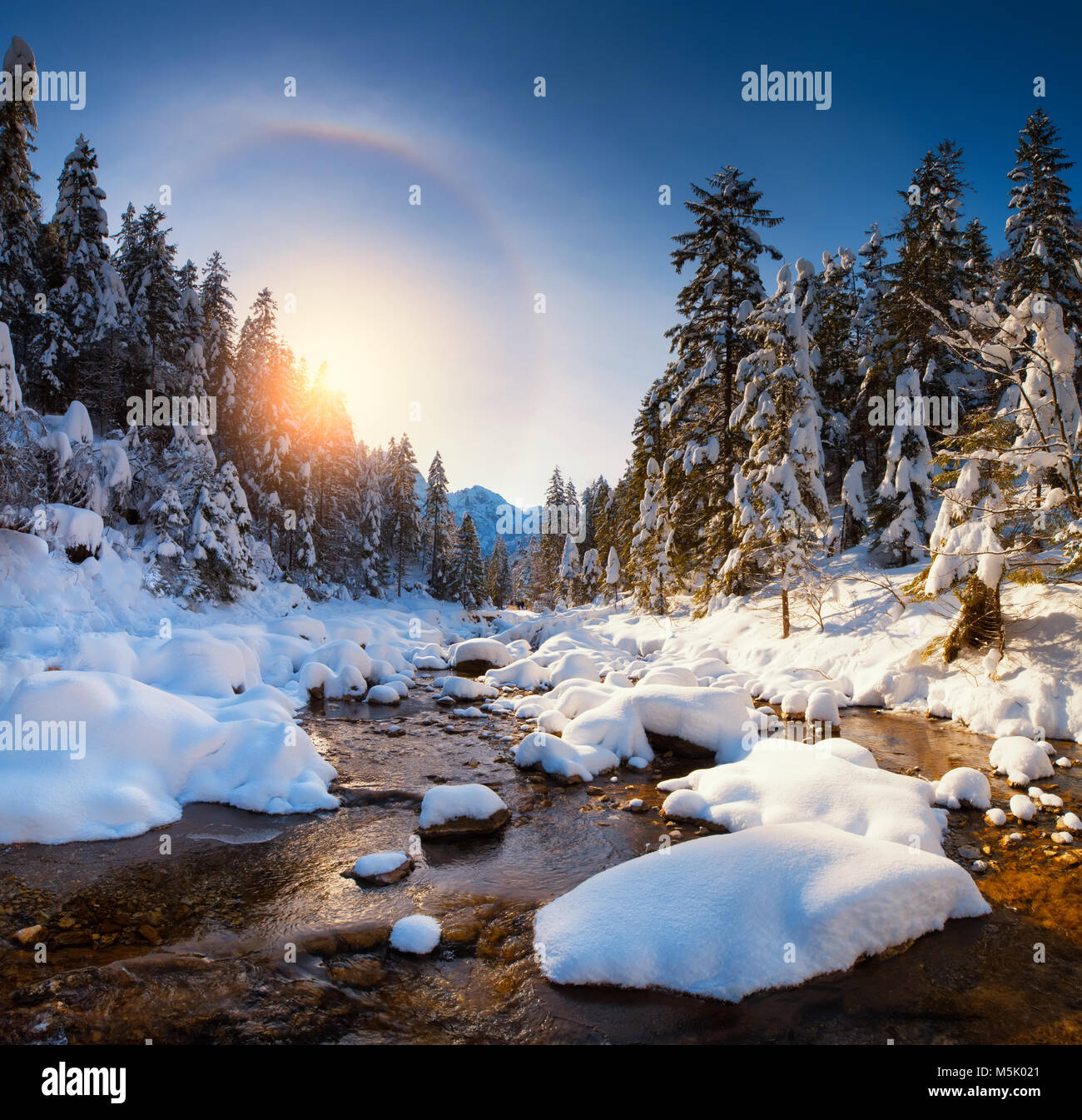 Feder Szene. Schönen Frühling Natur. Mountain River im Frühjahr sonnigen Morgen. Sonnige Natur der Tatra. Stockfoto