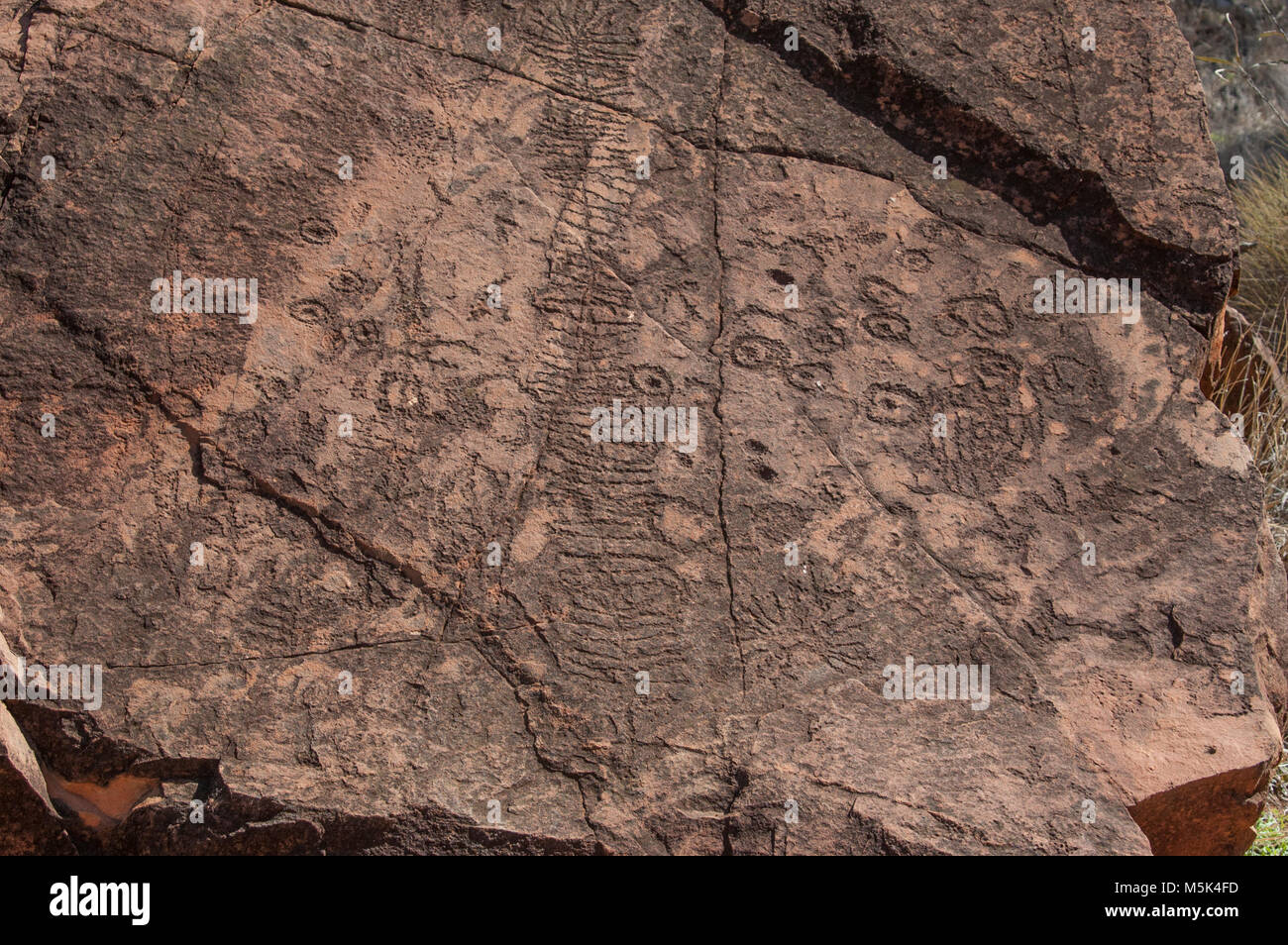 Rock Petroglyphics in N'Dhala Gorge, East MacDonnells Bereich, NT, Australien Stockfoto