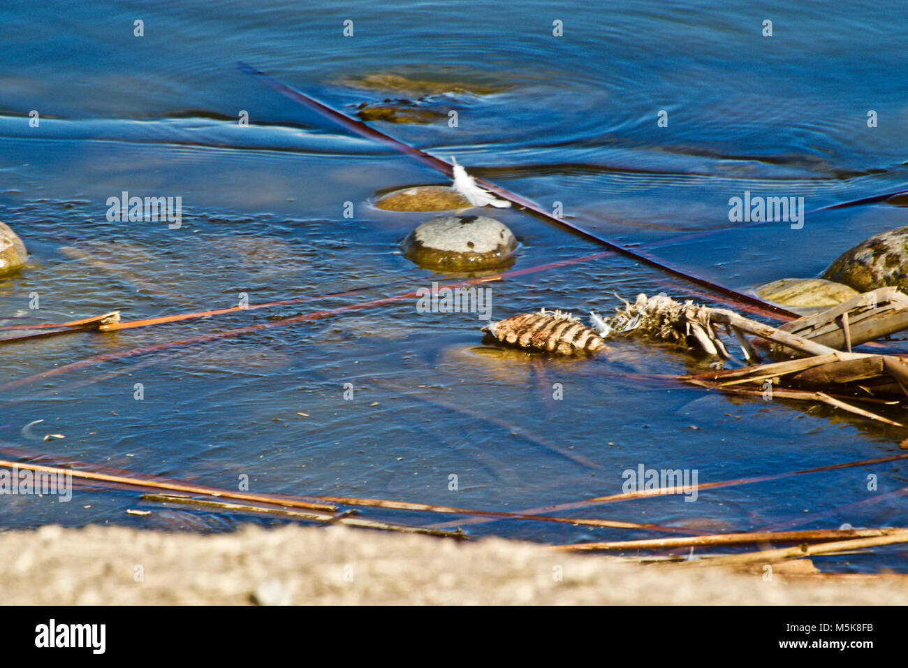 Abstrakte, Kamera Kunst, Studie in Eis, Felsen und blauem Wasser Stockfoto