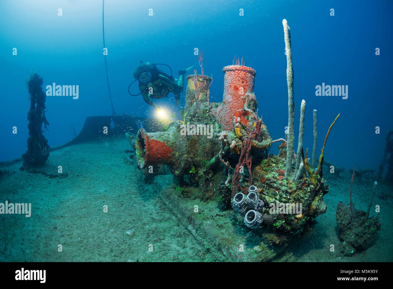 Scuba Diver bei Halliburton Schiffswrack, mit Schwämmen bewachsen, Insel Utila, Bay Islands, Honduras, Karibik Stockfoto