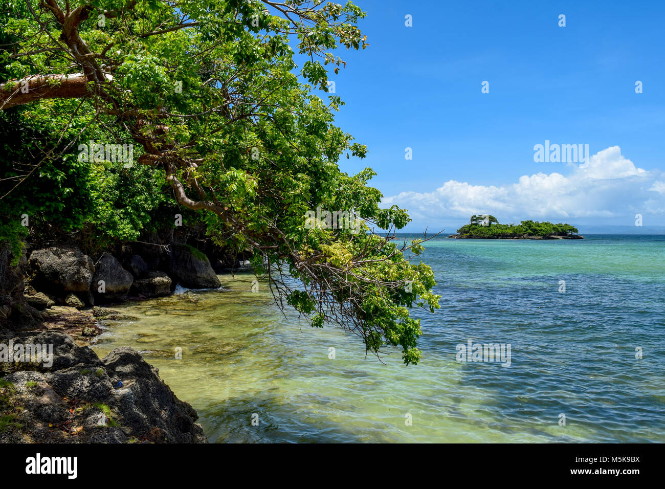 Blick über Pflanzen auf einer kleinen Insel vor der blauen Ozean Stockfoto