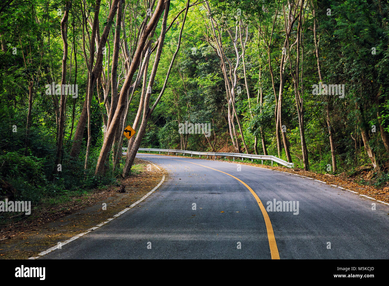 Eine windige Straße durch den Dschungel in einem thailändischen Nationalpark, Thailand, Südostasien Stockfoto