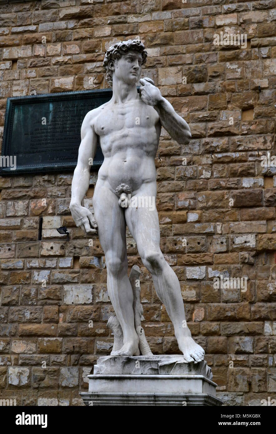 David von Michelangelo, Florenz Stockfoto