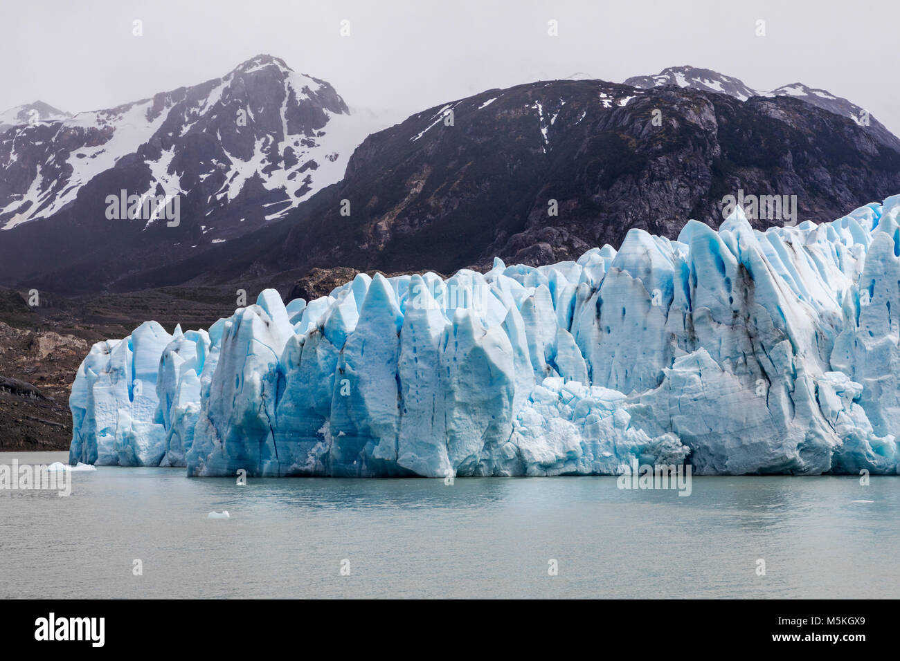 Robuste Gesicht der Glaciar Grey schmilzt und Kälber in den Lago Grey, Torres del Paine Nationalpark, Patagonien, Chile Stockfoto