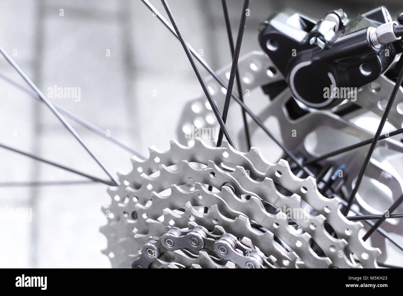 Fahrradausrüstung, Scheibenbremse und Metallkettenringe Detail, Nahaufnahme einer schwarzen hydraulischen Mountainbike Scheibenbremse im Hinterrad installiert Stockfoto