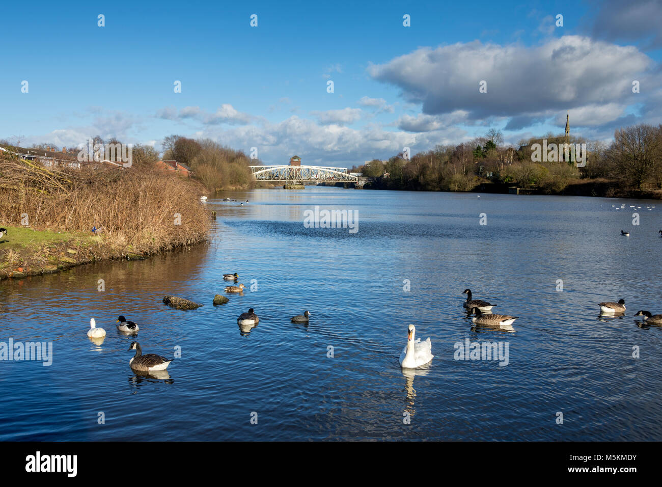 Die Barton Road Swing Bridge und der Barton Swing Aquädukt aus den Manchester Ship Canal bei Barton-upon-Irwell, Salford, Manchester, UK. Stockfoto