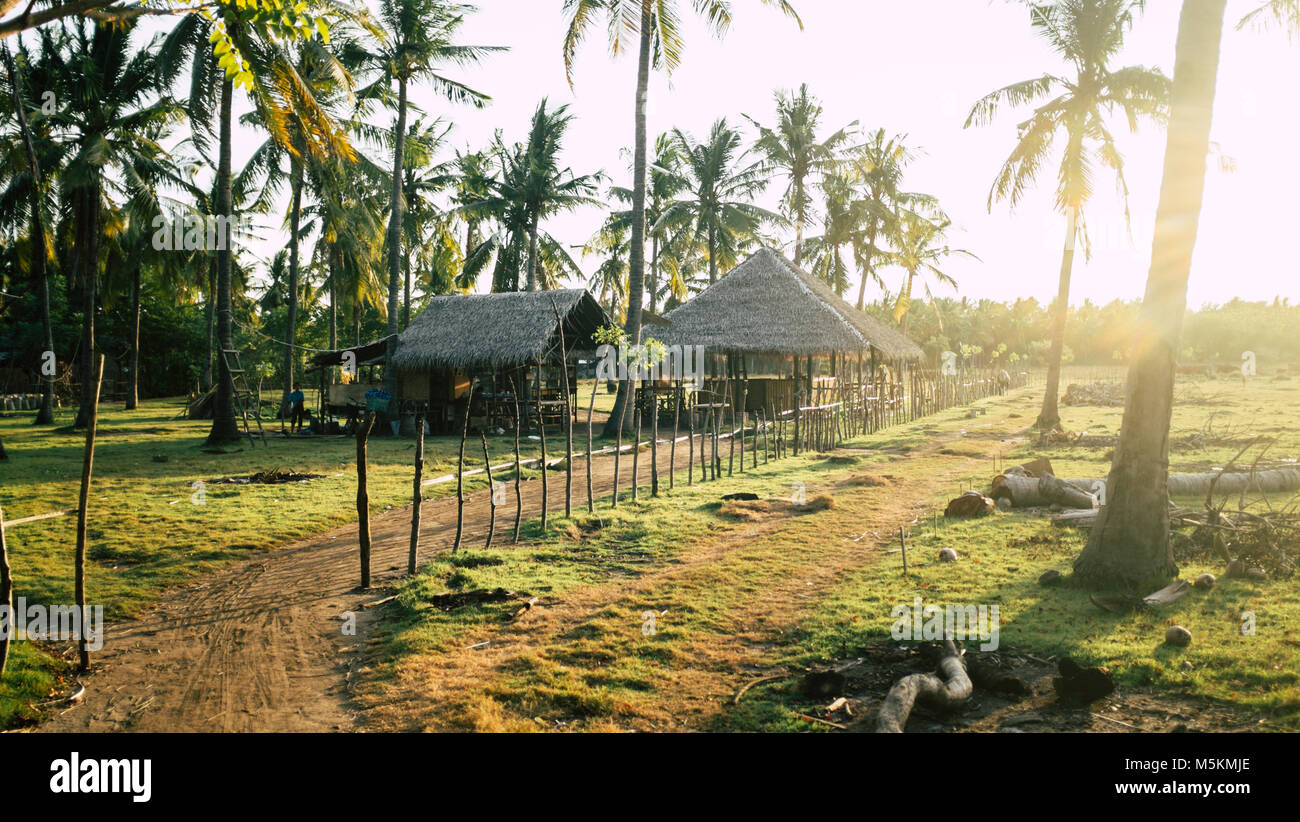 Die Palmen auf Gili T sind während einer Golden Sunset in Bali auf der Insel gesehen Stockfoto