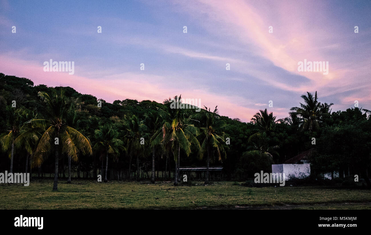 Die Palmen auf Gili T sind während einer purple Sunset in Bali auf der Insel gesehen Stockfoto