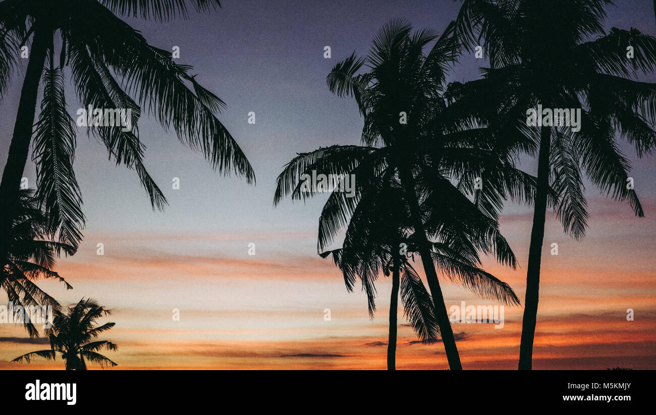 Die Palmen auf Gili T sind während einer purple Sunset in Bali auf der Insel gesehen Stockfoto