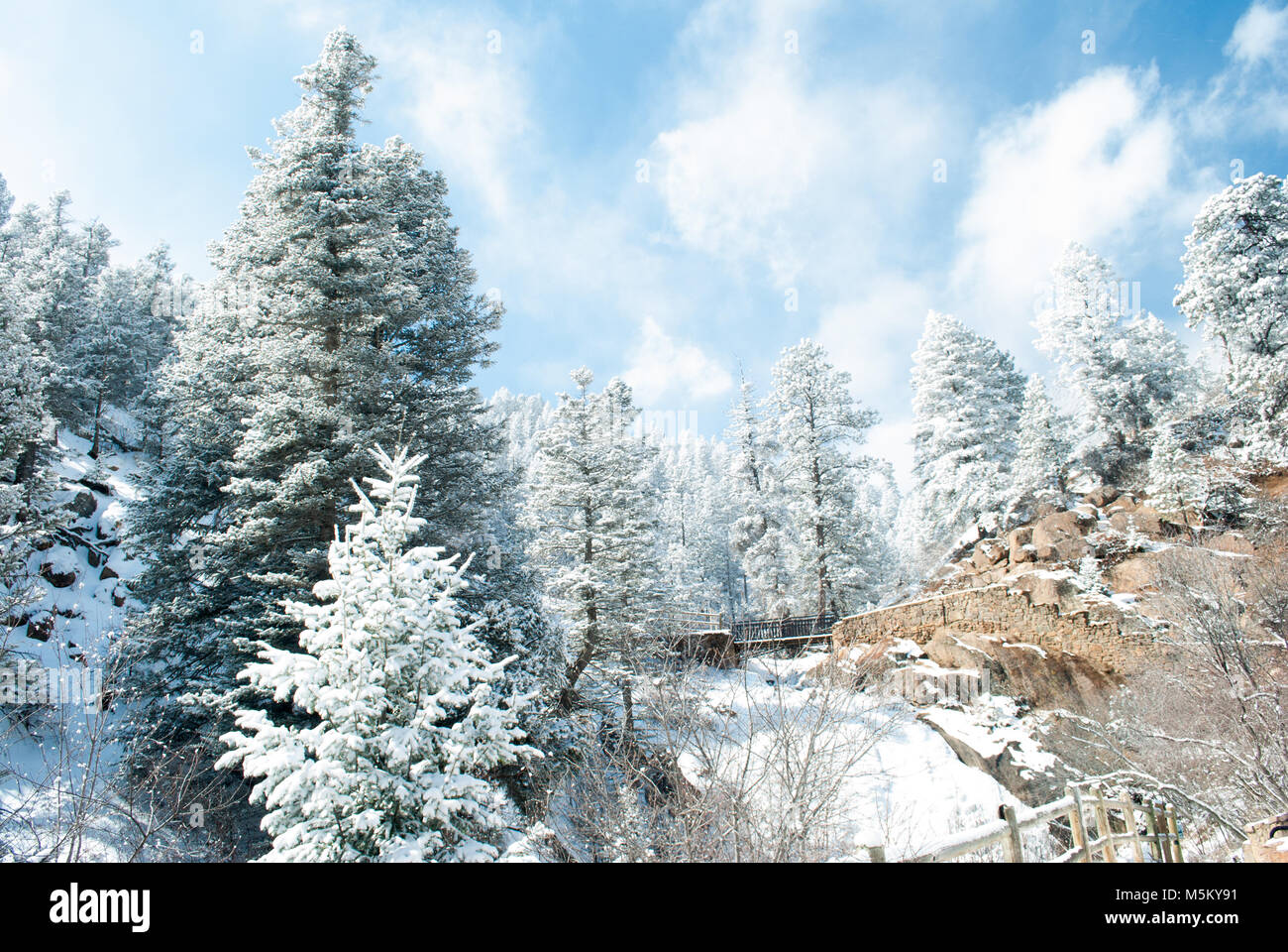 Schnee bedeckt Kiefern, schroffe Felsen und gefrorene Wasserfälle bilden die fantastischen Landschaften der Colorado Rocky Mountains. Blauer Himmel und eisigen Terrain. Stockfoto