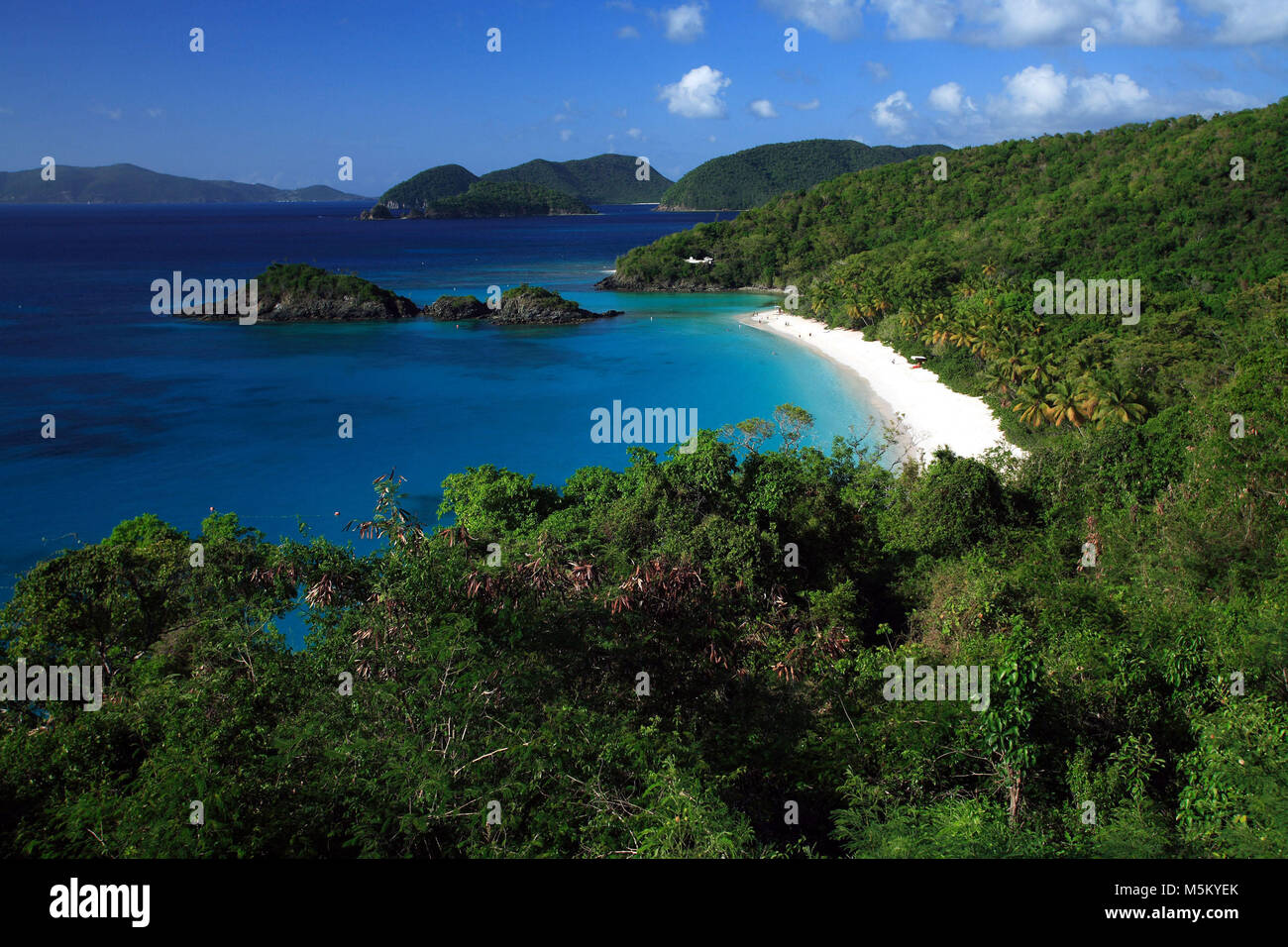 Das ruhige Wasser der Trunk Bay helfen, dass es in den meisten besuchten Strand auf der Insel St. John in den U.S. Virgin Islands. Stockfoto
