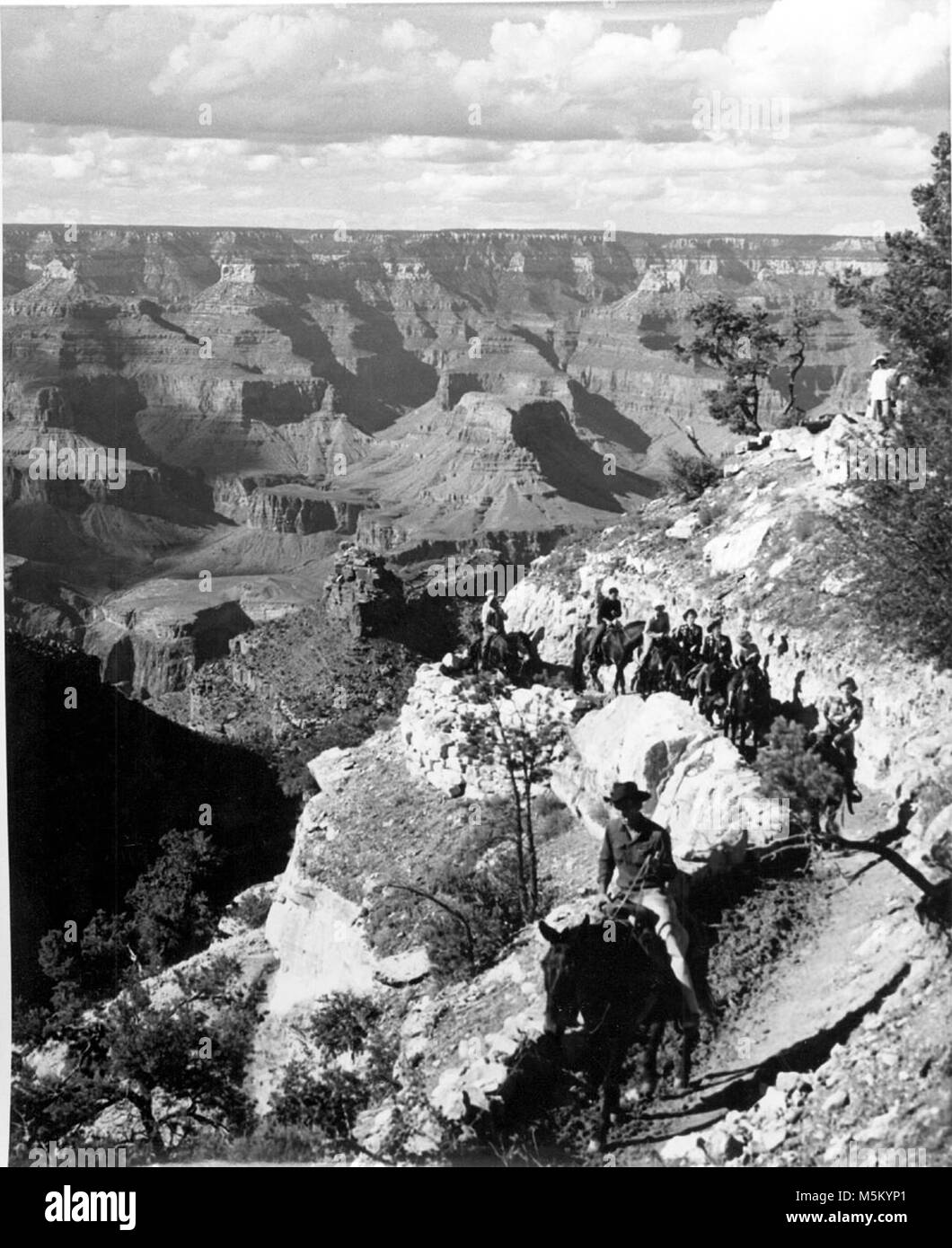 Grand Canyon historischen Bright Angel Trail. MULE STRING VON DER RÜCKKEHR 1 Tag Reise, in der Nähe der Leiter der Bright Angel Trail, GRAND CANYON NATIONAL PARK. Stockfoto