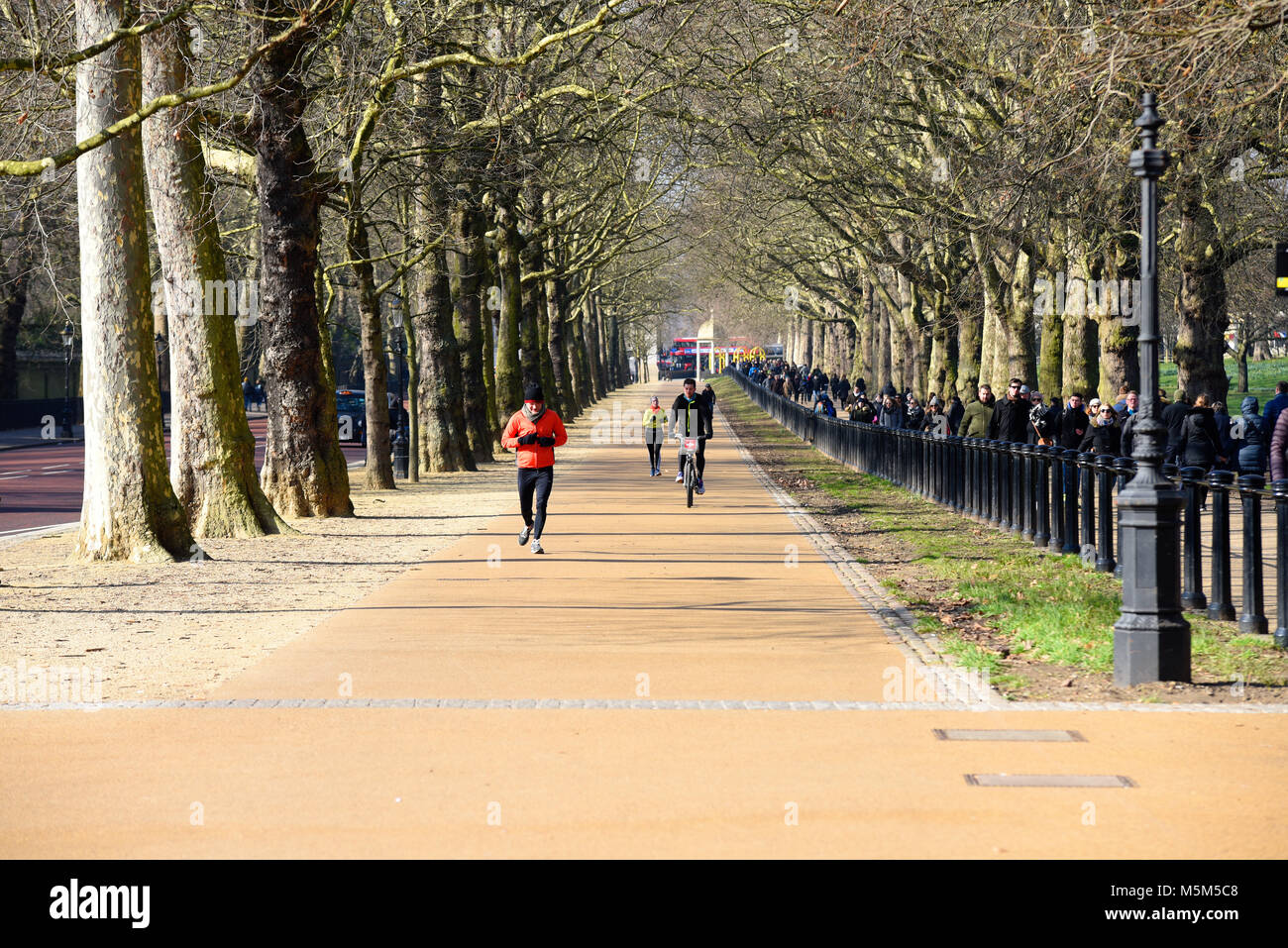 Jogger, Radfahrer und Wanderer auf einem Winter auf der Constitution Hill und im Green Park, London Stockfoto