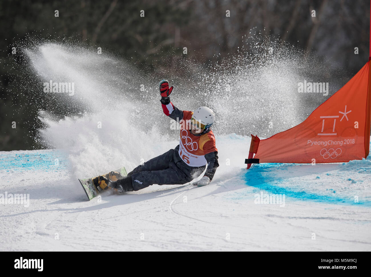 Alexander PAYER, AUT, Aktion, Snowboard Parallel Riesenslalom der Maenner, Snowboard - Männer Parallel Riesenslalom am 24.02.2018, Olympische Winterspiele 2018, vom 09.02. - 25.02.2018 in PyeongChang/Suedkorea. | Verwendung weltweit Stockfoto