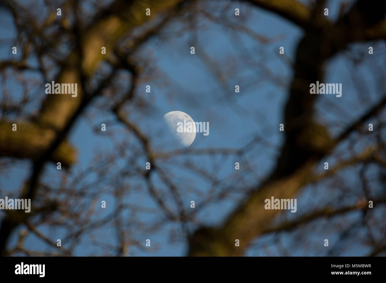 Bewdley, Großbritannien. 24. Februar, 2018. UK Wetter: Waxing Gibbous Mond in einem frühen Abend strahlend blauer Himmel. Diese Phase ist, wenn der Mond ist mehr als 50% beleuchtet, aber noch nicht der Vollmond. Die Phase dauert etwa 7 Tage mit der Mond jeden Tag mehr beleuchtet, bis der Vollmond. Während ein Waxing Gibbous Phase, der Mond wird im Osten Mitte steigen - Nachmittag und wird hoch in den östlichen Himmel bei Sonnenuntergang. Quelle: Lee Hudson/Alamy leben Nachrichten Stockfoto