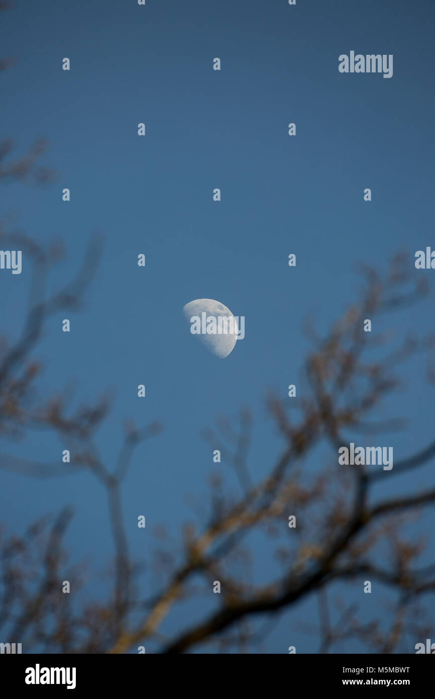 Bewdley, Großbritannien. 24. Februar, 2018. UK Wetter: Waxing Gibbous Mond in einem frühen Abend strahlend blauer Himmel. Diese Phase ist, wenn der Mond ist mehr als 50% beleuchtet, aber noch nicht der Vollmond. Die Phase dauert etwa 7 Tage mit der Mond jeden Tag mehr beleuchtet, bis der Vollmond. Während ein Waxing Gibbous Phase, der Mond wird im Osten Mitte steigen - Nachmittag und wird hoch in den östlichen Himmel bei Sonnenuntergang. Quelle: Lee Hudson/Alamy leben Nachrichten Stockfoto