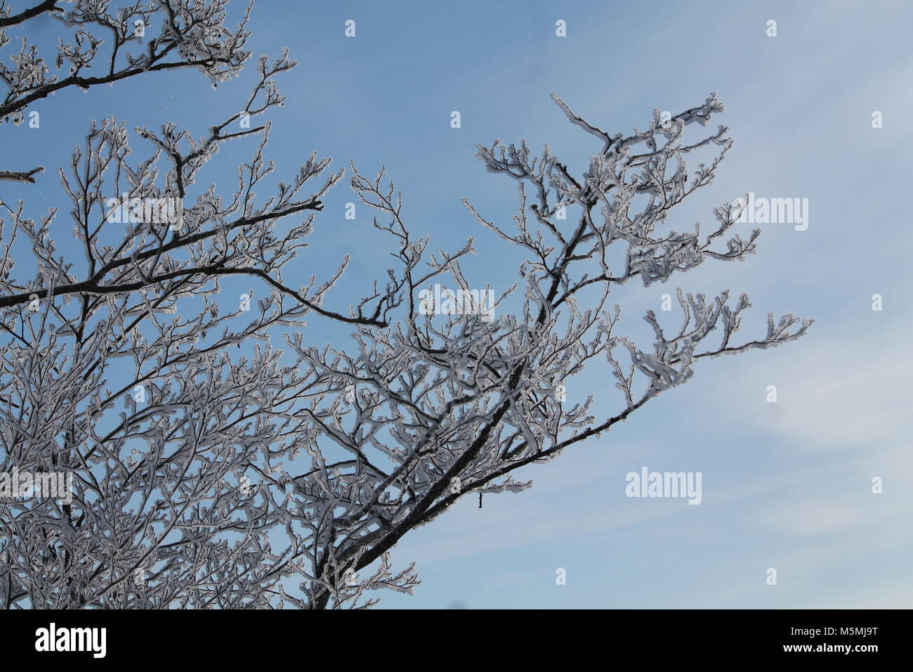 Wunderschöne Landschaft River Bank in kalten Wintertag fallen/ Schnee und Rauhreif aussehen wie märchenhaften Ort Stockfoto