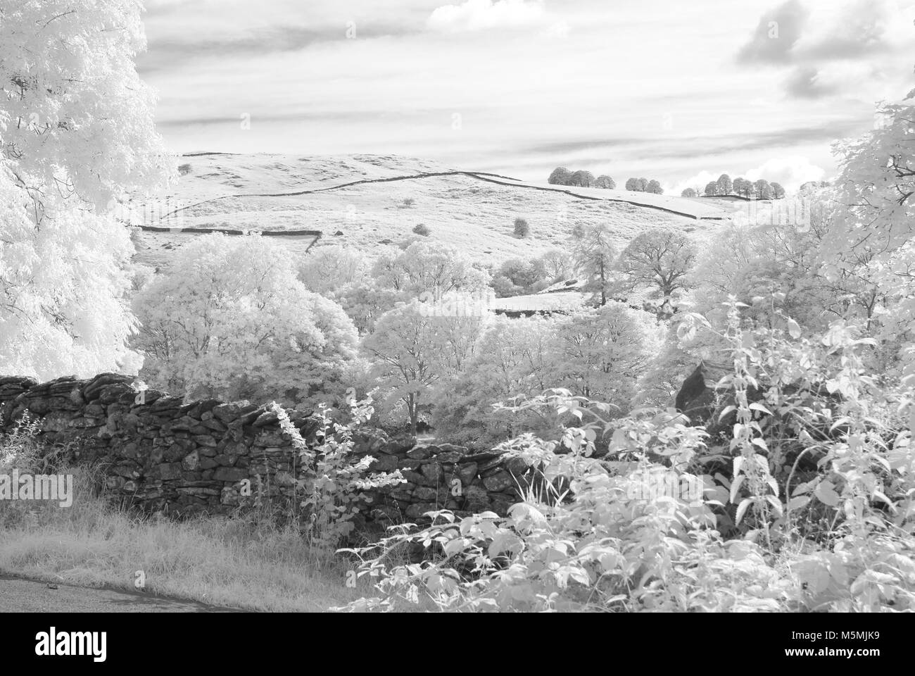 Fotoshoots von Kendall im Lake District. Infra Red DSLR, sonnigen Tag, Fotografin Claire Allen. Wunderschöne Landschaft Fotografie Stockfoto