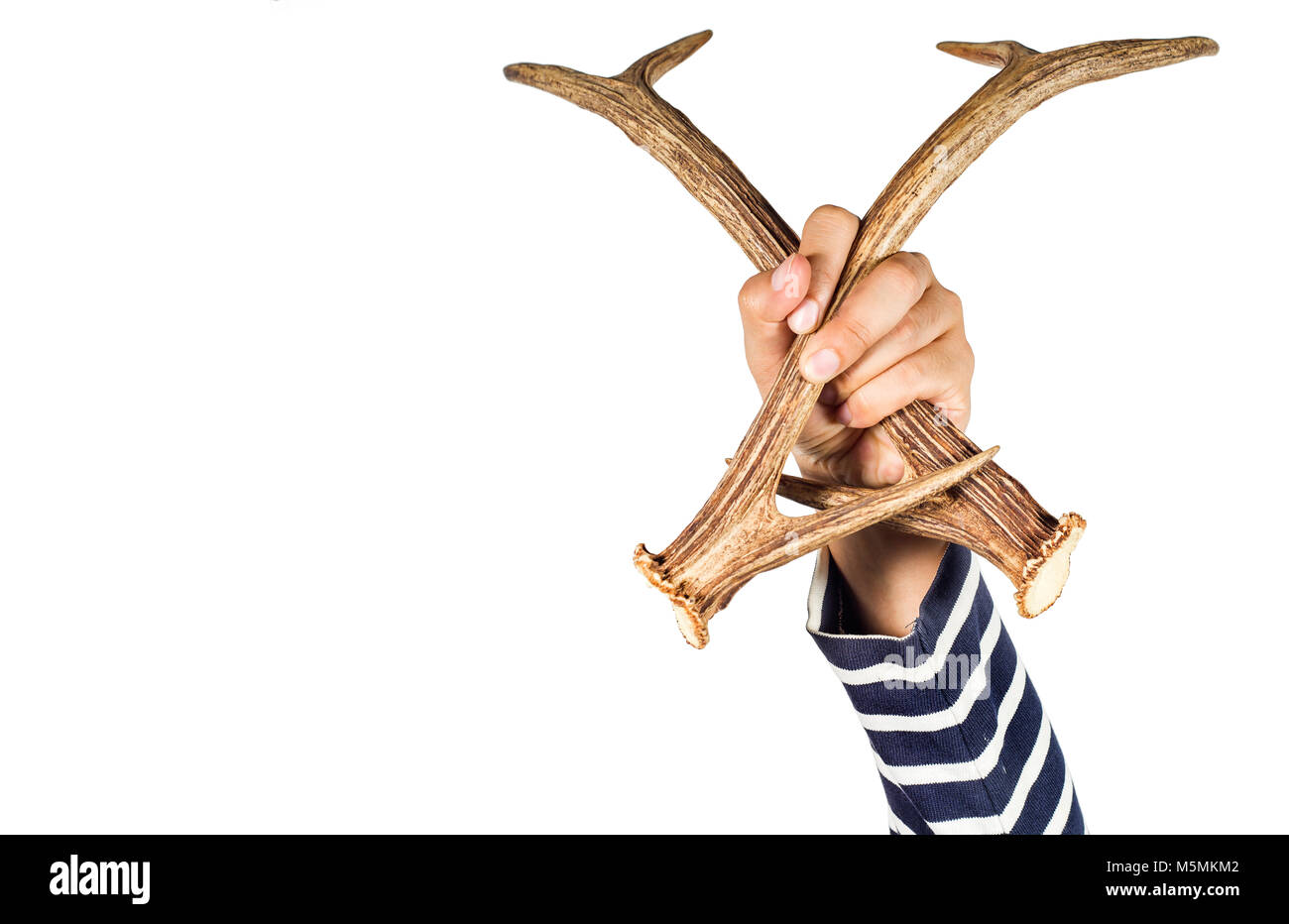 Holding Hörner in der Hand auf den weißen Hintergrund. Stockfoto