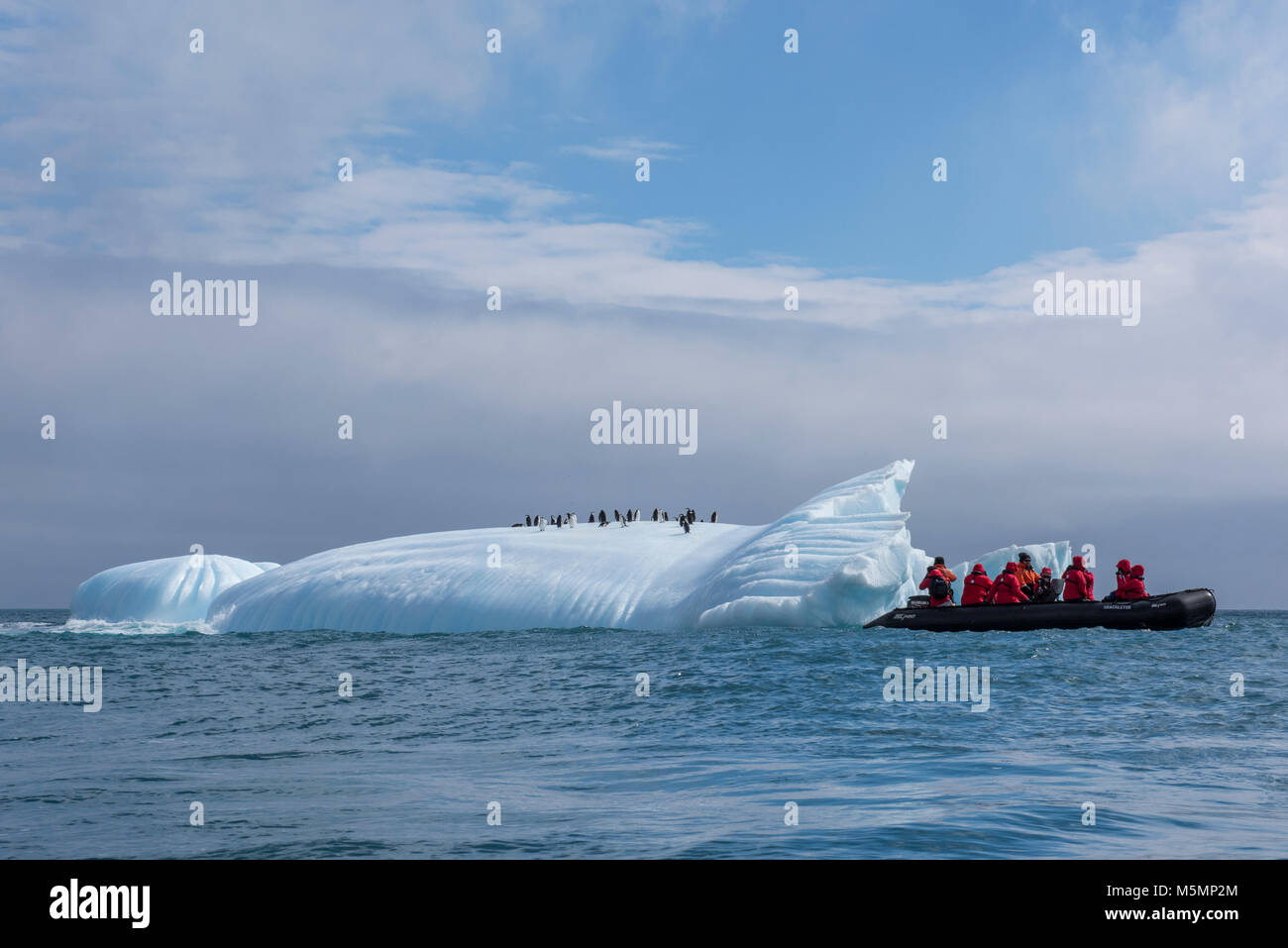 Britisches Überseegebiet, South Sandwich Inseln, Saunders Island. Expedition Touristen im Tierkreis auf kinnriemen Pinguine. Stockfoto
