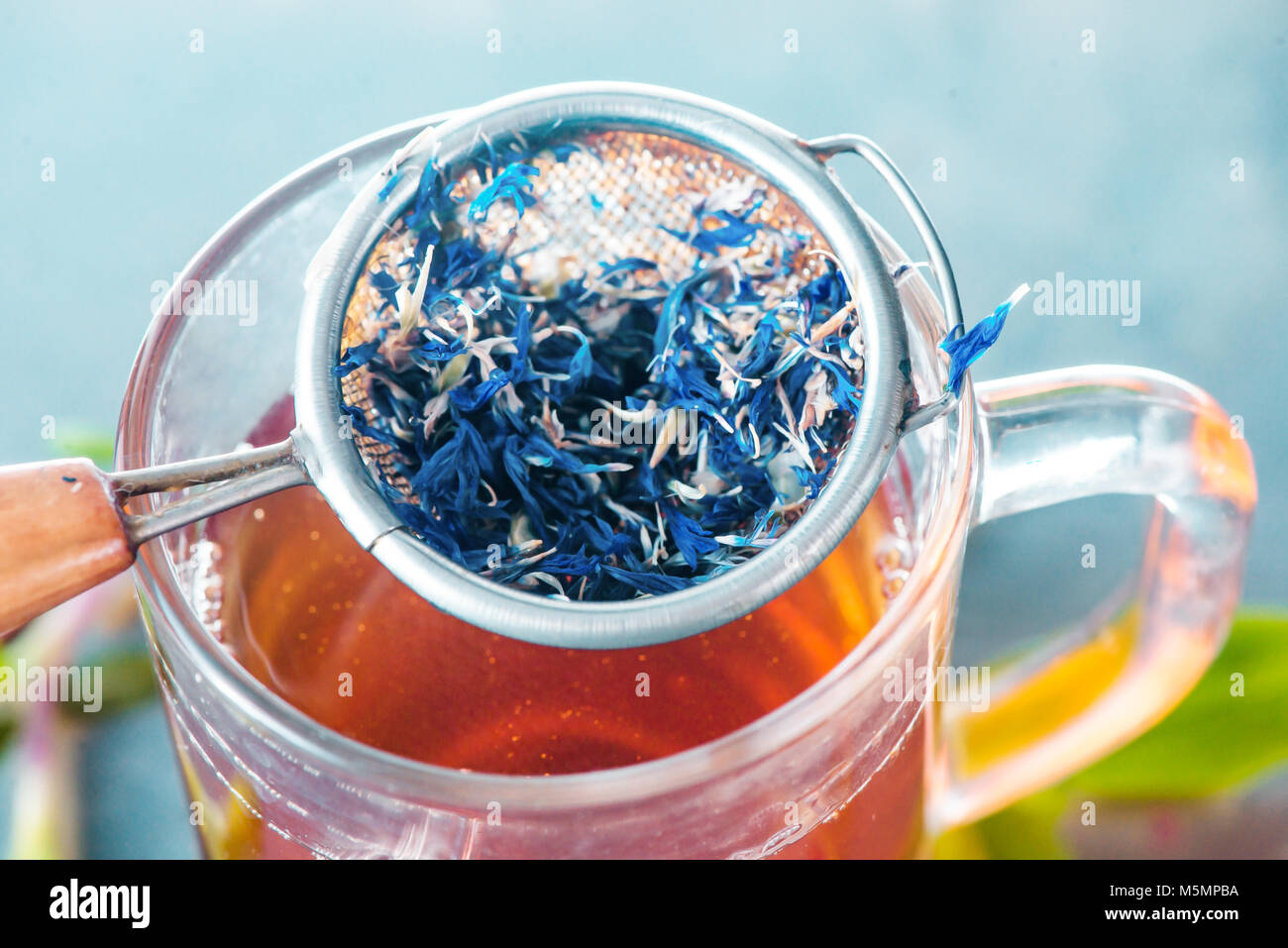 Kornblume Schweißen close-up in einem Teesieb auf ein Glas Schale. Stockfoto