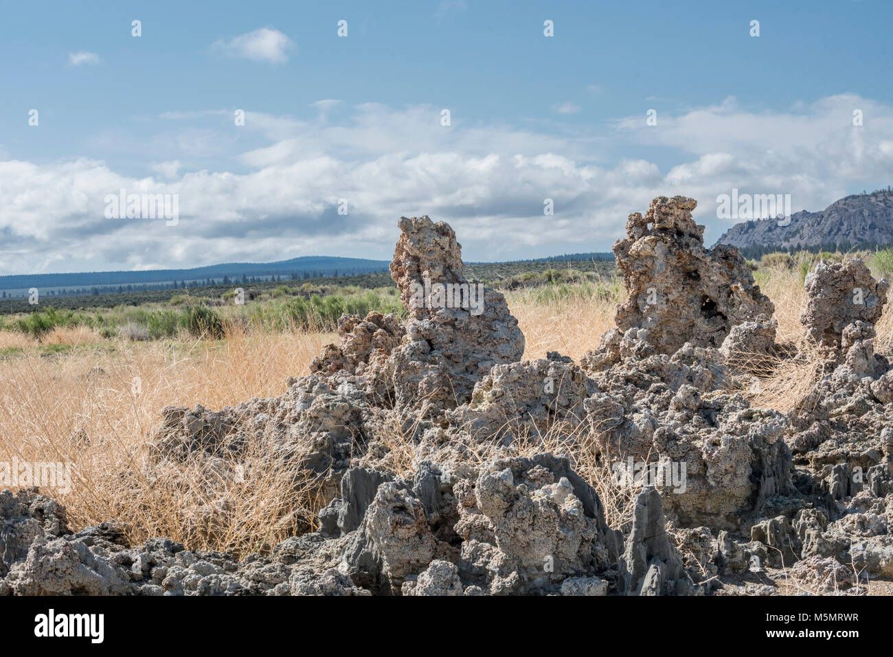 Sand tufas stand hoch über Mono Lake, Kennzeichnung Rezession der salzigen Wasser über Jahrtausende in Lee Vining, Kalifornien Stockfoto