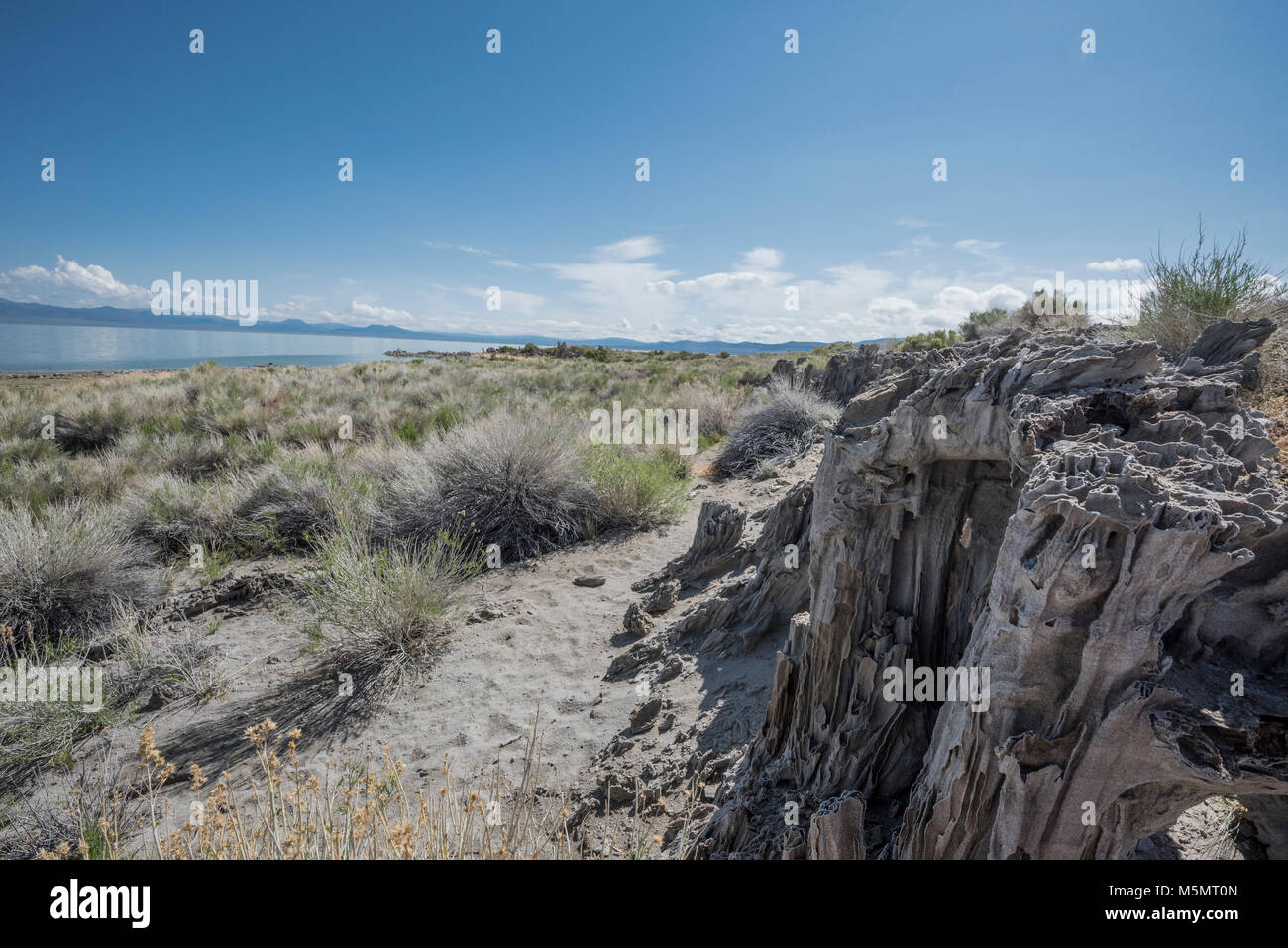 Sand tufas stand hoch über Mono Lake, Kennzeichnung Rezession der salzigen Wasser über Jahrtausende in Lee Vining, Kalifornien Stockfoto