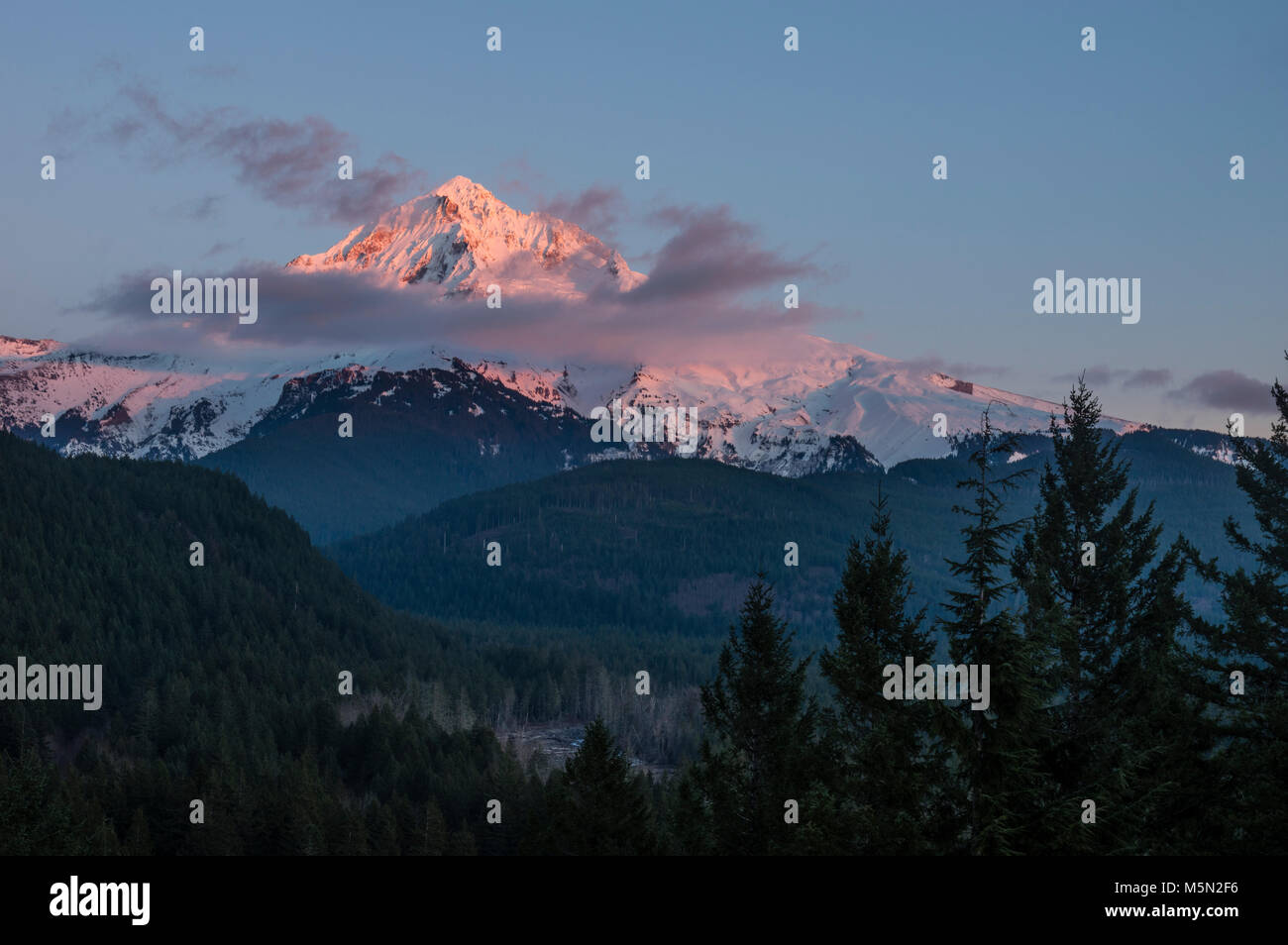 Mt Hood in den Cascade Mountains ist eine schneebedeckte Vulkan Stockfoto