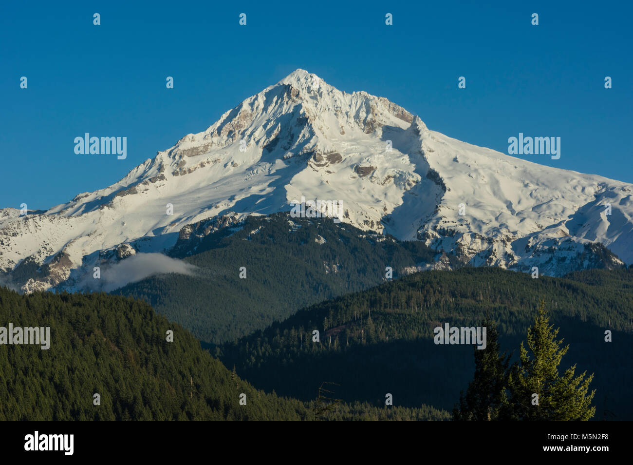 Mt Hood in den Cascade Mountains ist eine schneebedeckte Vulkan Stockfoto
