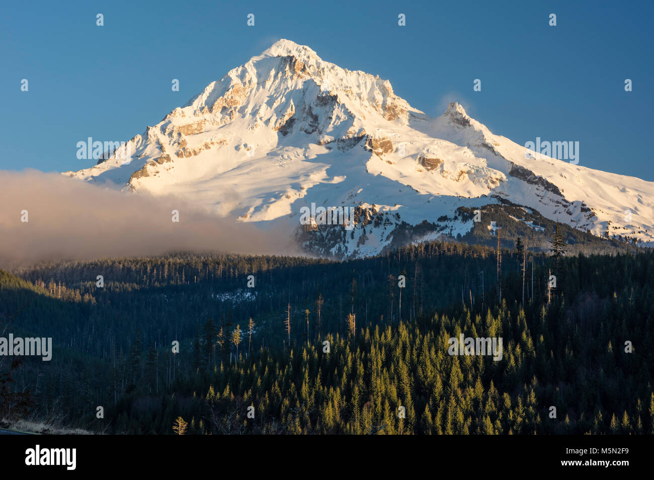 Mt Hood in den Cascade Mountains ist eine schneebedeckte Vulkan Stockfoto