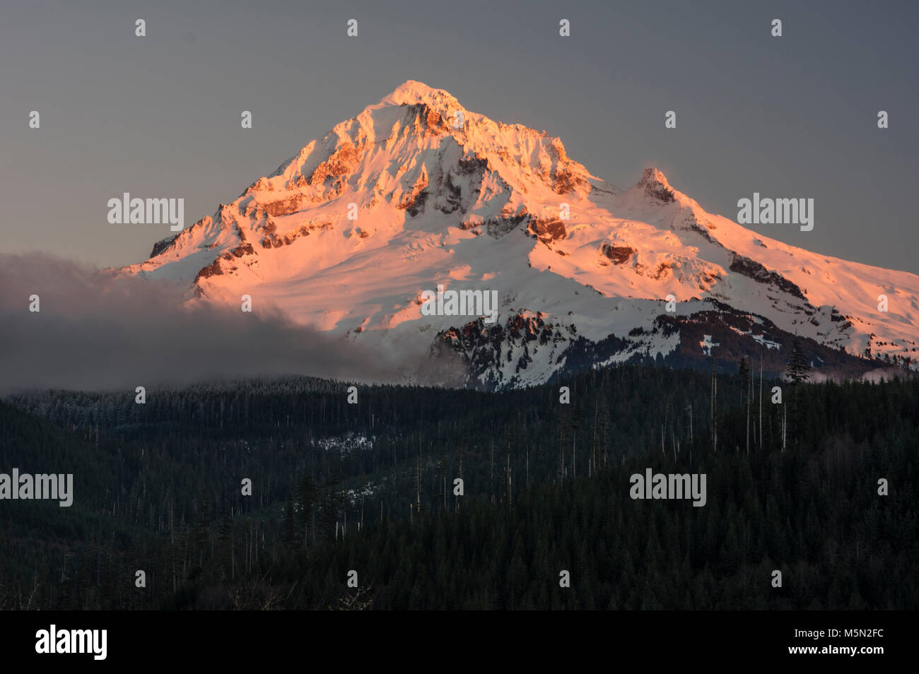Mt Hood in den Cascade Mountains ist eine schneebedeckte Vulkan Stockfoto
