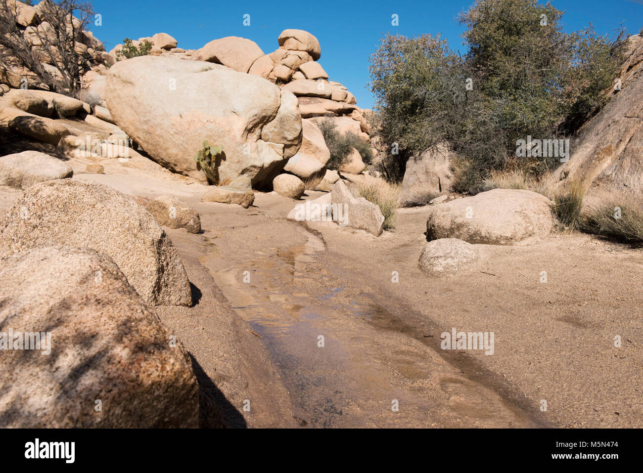 Barker dam Trail nach Regenfällen überflutet. Stockfoto