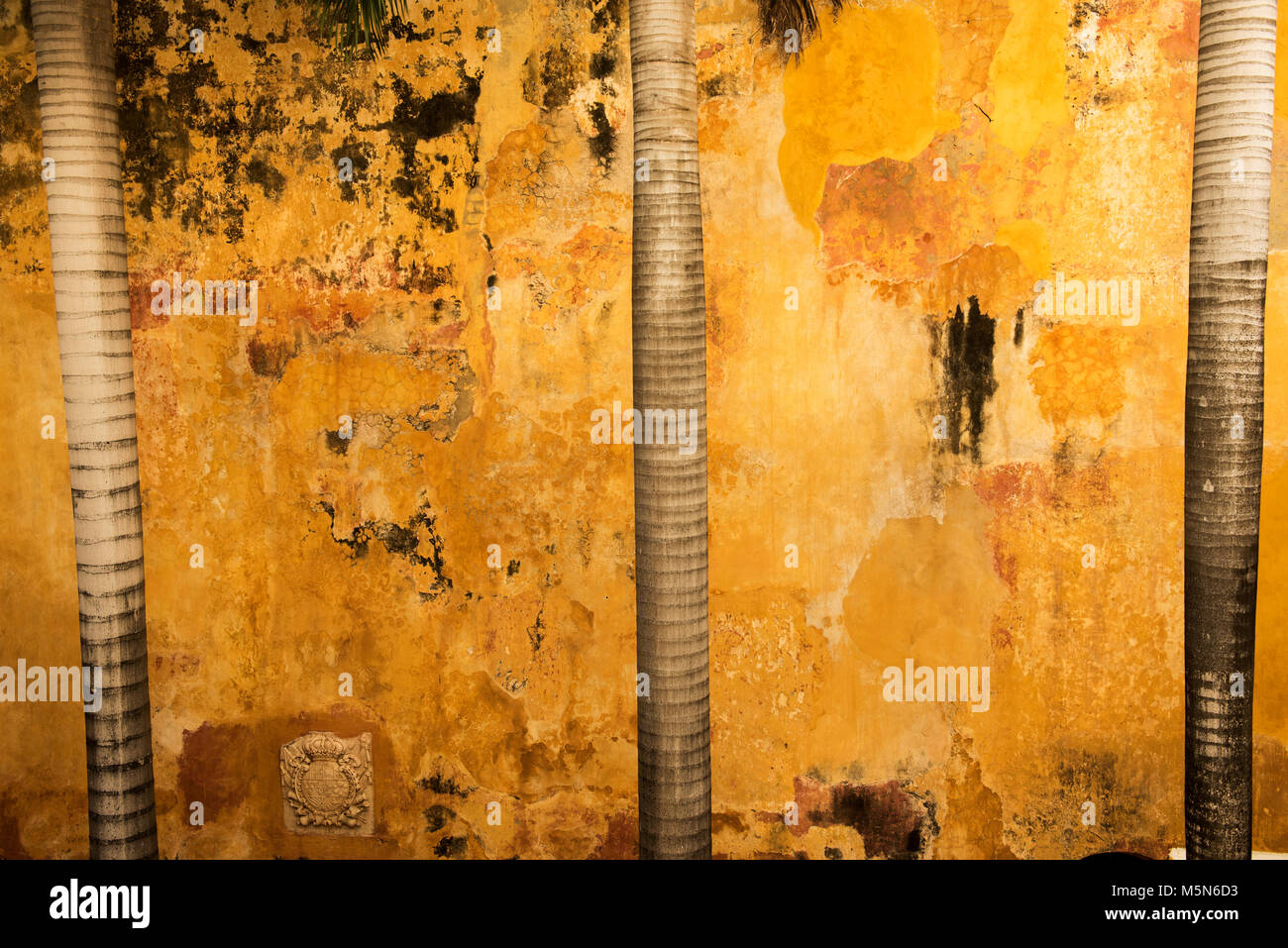 Attraktive distressed suchen Wand mit Palm Tree trunks erstellen ein abstraktes Bild Stockfoto