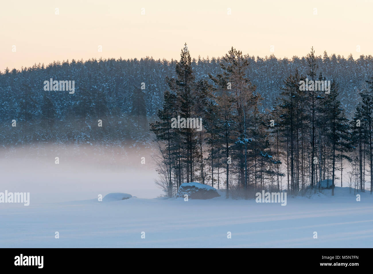 Misty Winterlandschaft, Schweden Stockfoto