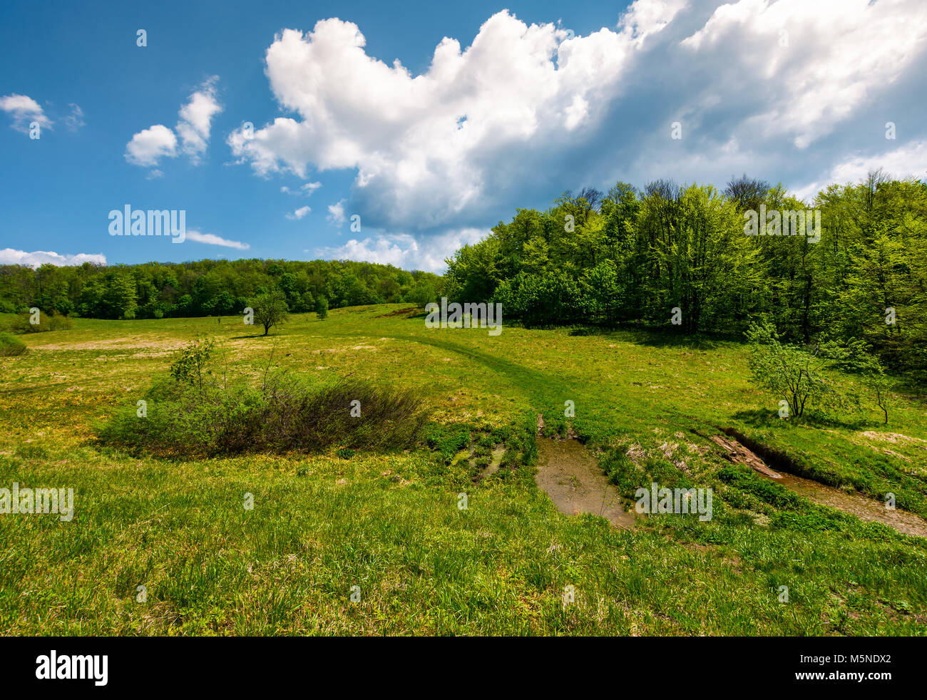 Straße durch die Berge Wiese unter Wald. wunderschöne Landschaft unter blauem Himmel mit Wolken Stockfoto