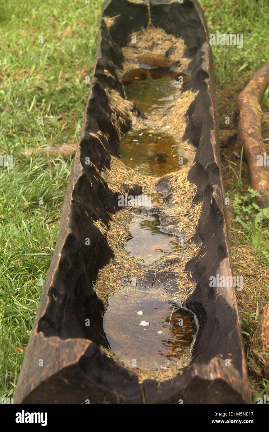 Rustikale alte hölzerne Wasser - Trog für Haustiere Stockfoto